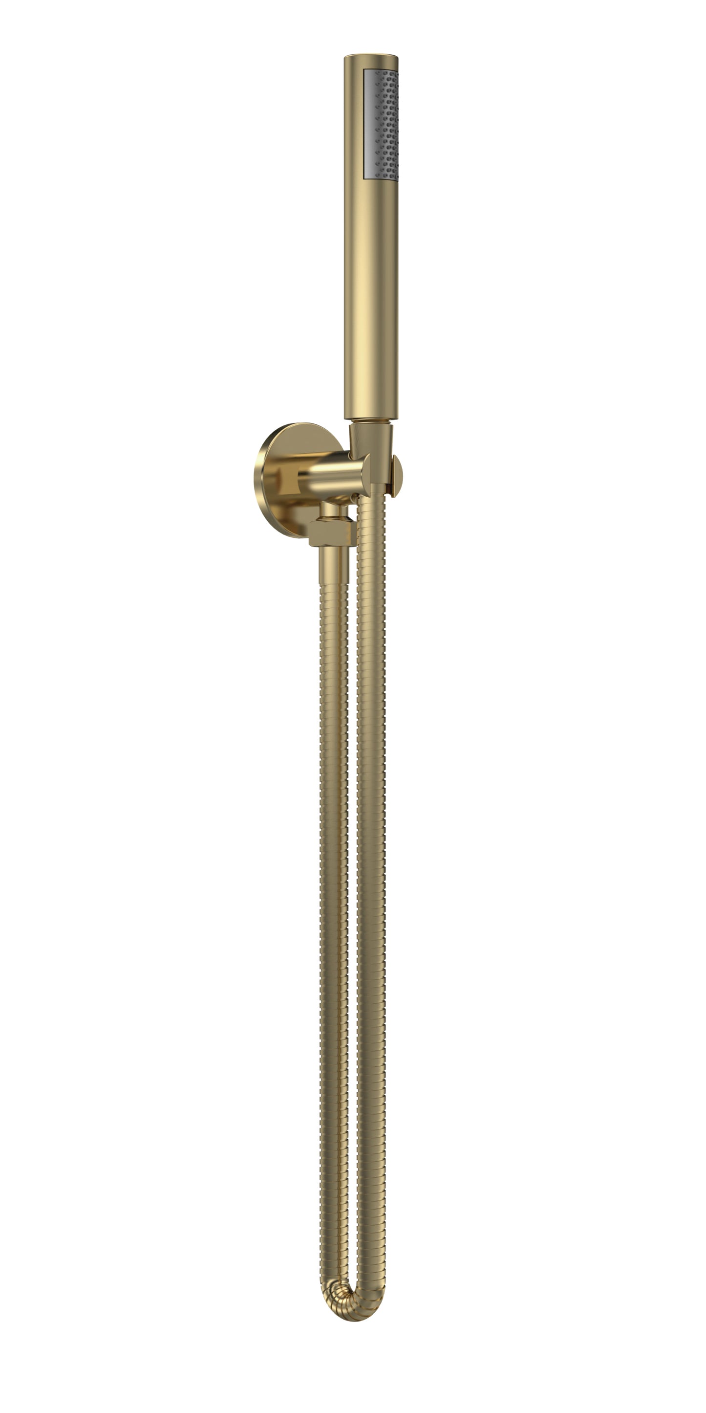 Shower Accessories Outlet Elbow, Parking Bracket, Flex and Handset Brushed Brass
