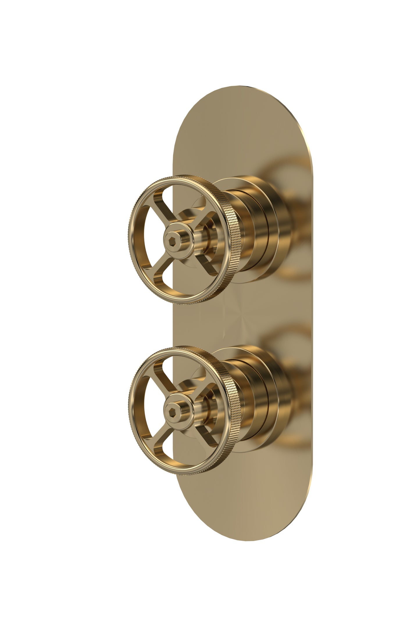 Industrial Twin Shower Valves with Diverter by Nuie