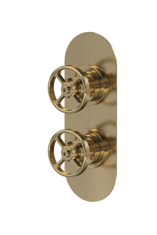 Industrial Twin Shower Valves with Diverter by Nuie